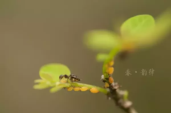 玄渡法师：别小看立春，它可以帮你转运！