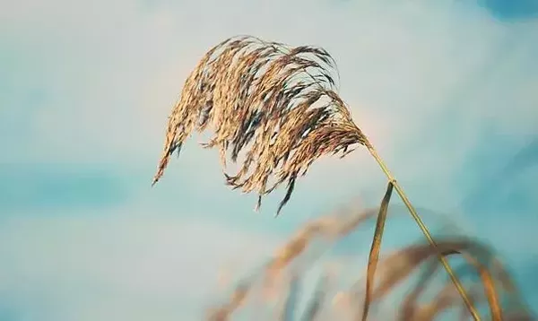 生于哪个日子的人，不爱计较，福运特好~