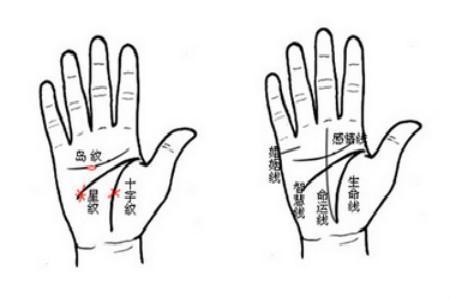 有这三条掌纹的人，一辈子有权有势生活富裕！