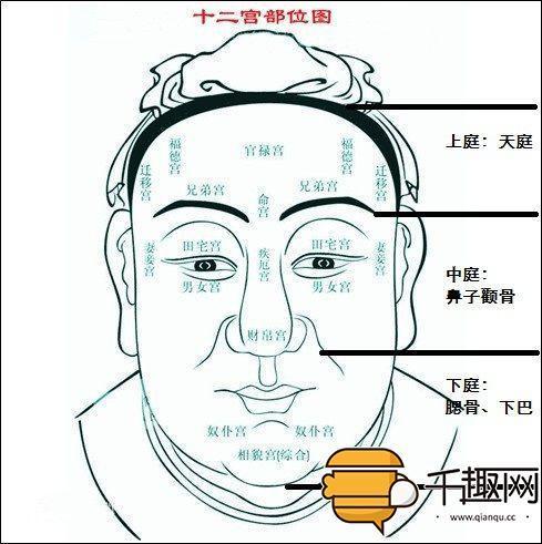 什么是天庭饱满地阁方圆？真的会带来大富大贵吗？