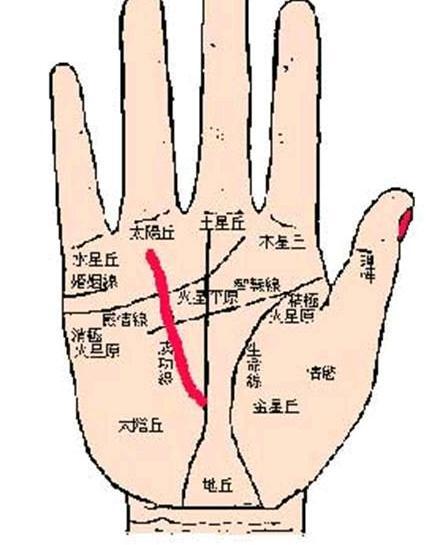 元真风水：从手相看财运，一眼就知道有钱没钱