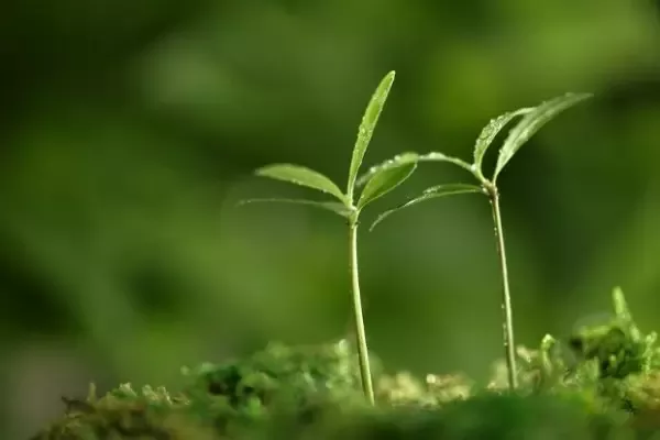 玄静风水；哪些风水影响孩子前途？