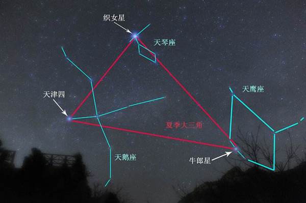 牛郎星属于什么星座