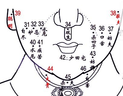 女性面部痣相图解大全