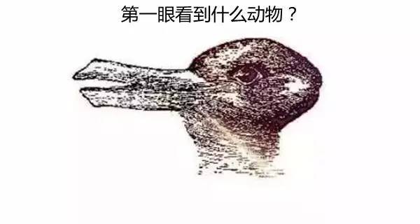 第一眼看出什么字，就代表你是什么人？