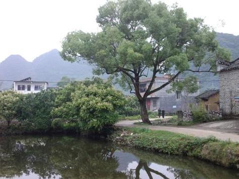 这几种“门前水”布局，藏风聚气，占尽风水