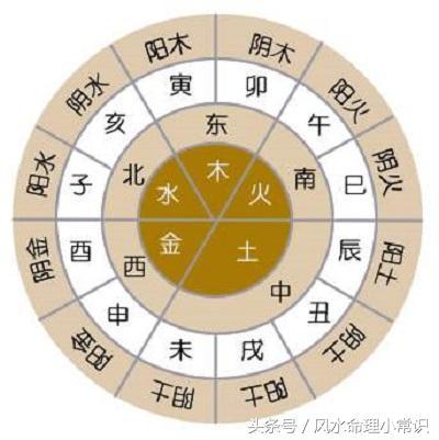 天干地支的阴阳五行怎么区分？它们有什么联系？