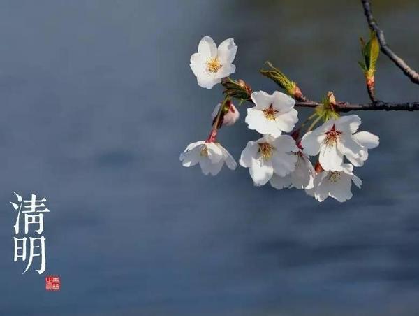 2017年清明节不可不知的风水禁忌