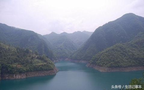 蛇头穴祖坟风水宝地，清明节后代不敢扫墓！