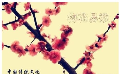 一花一世界，俏梅花易卜仙人诀