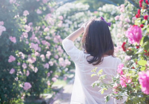 婚姻如果还不挽救，一定会离婚的生肖