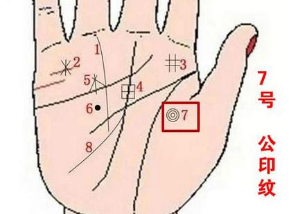 玄真阁：有这种手相的人，非富即贵，一生富贵无忧
