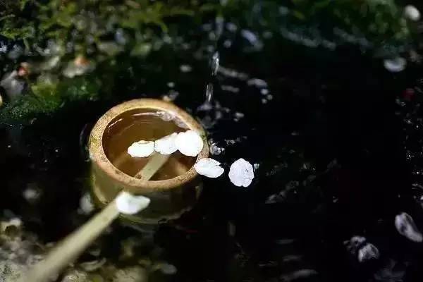 我珍惜真心和我相处的人！