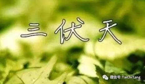 你必须该知道的入伏后怎么养生，入伏后应该注意什么?