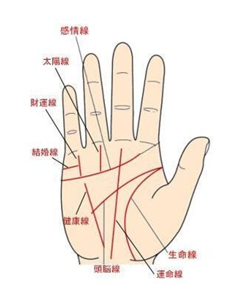 你的会是招财手吗？出现这些现象预示灾难就要来了