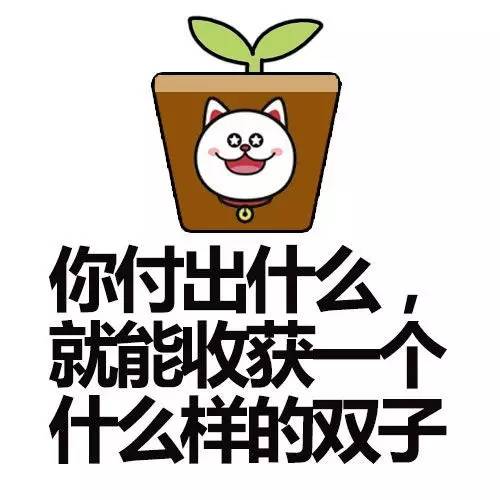 我的不正经从来不会耽误正经，所以我很酷——双子