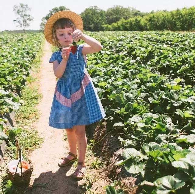 这辈子一定要生个女儿，看完心都化了