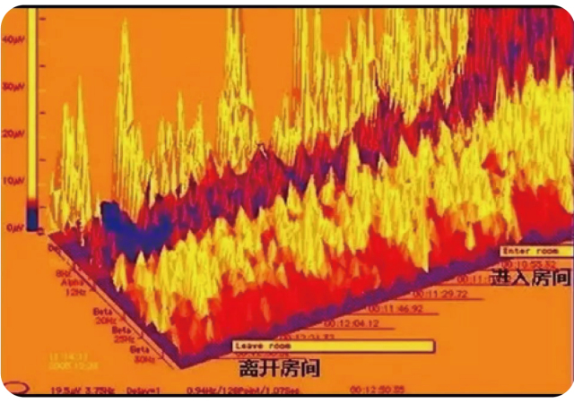 纽约丨风水学在中国遭受厄运，外国人却拿来发家致富。