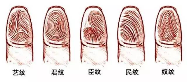 指纹几个斗，代表什么命？