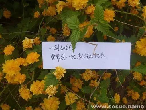 (17/8/22)天秤运势：与其混在人群中跟著盲目过一天，不如单独行动更有利