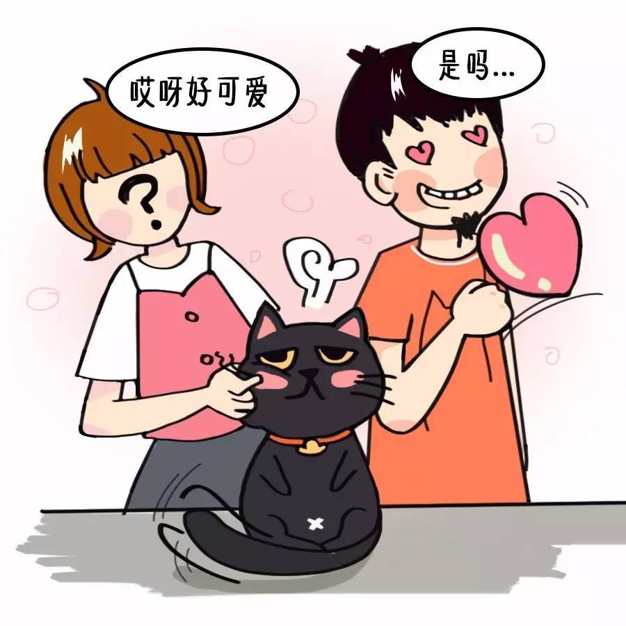 【猫爸星座】 我与十二个你之巨蟹座