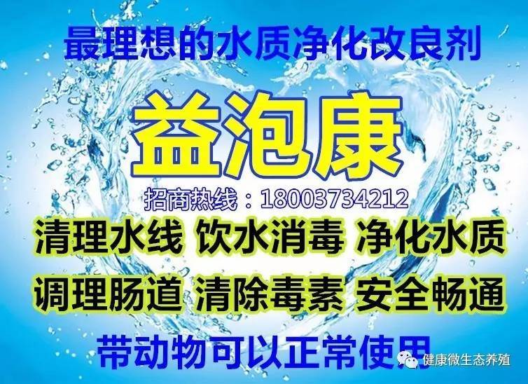 2017年8月27日鸡蛋价格