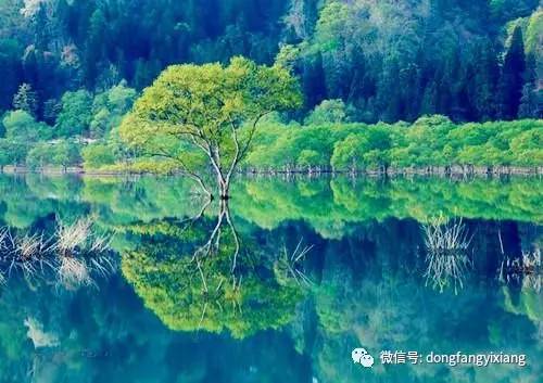 【黄历新说】8月31日   十二生肖喜忌及运气解读