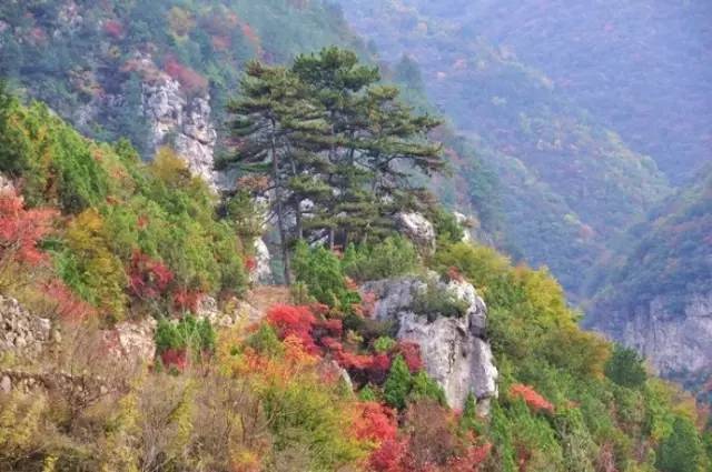 十二星座游泽州：柳树口镇“崖居遗址群” 天蝎座的神秘、探幽之旅！