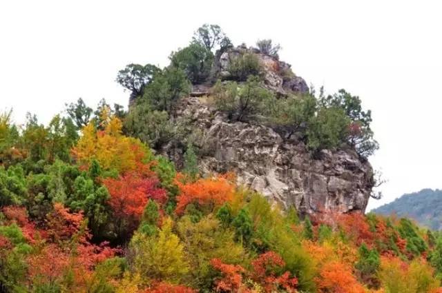 十二星座游泽州：柳树口镇“崖居遗址群” 天蝎座的神秘、探幽之旅！