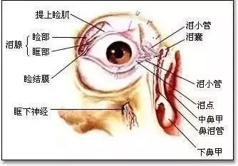 左眼跳财，右眼跳灾？江西人，你要知道，眼皮这样跳恐怕真是"灾"了