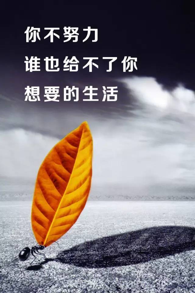 早安心语正能量 早安图片正能量