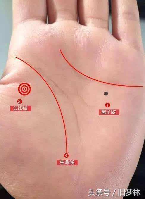 此种手相的女人必是嫁入富人家，生儿子，富贵命格，旺夫命