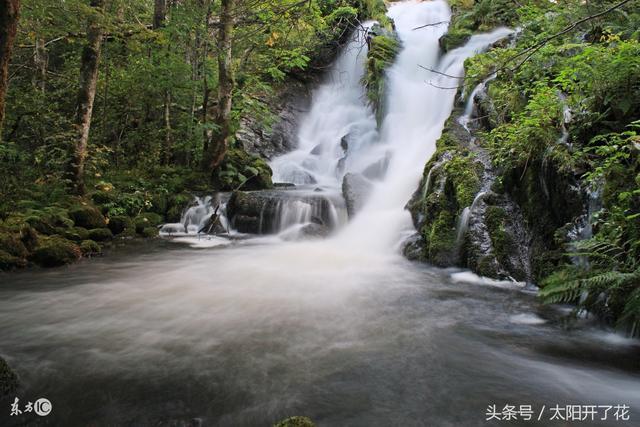 10月即将到来，菩萨送给肖猪人的福气，快打开看看，越快越好！