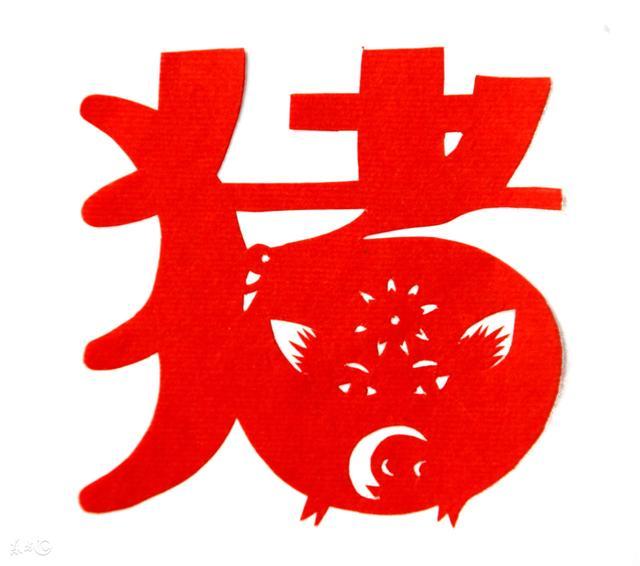 猪猪猪：这辈子都要感谢这“两大贵人”，一定要好好的珍惜！