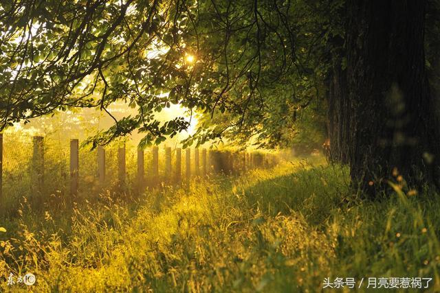 属虎人：明天10月7号，恐怕要出“大事”了 !你家有属虎的吗？