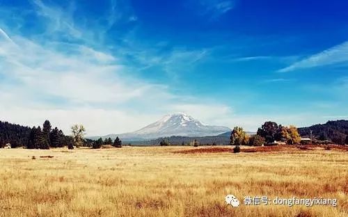 【黄历新说】10月24日   十二生肖喜忌及运气解读