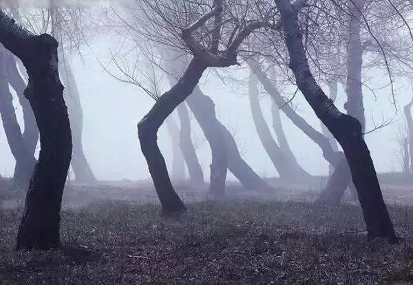 不生气，你就赢了！（这才是真正的修养）