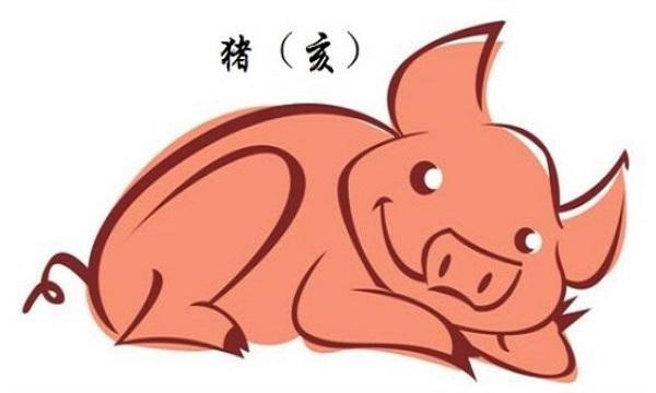 属猪本命年凶星相犯，2019运势事业财运有哪些不利的影响？