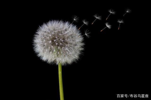 万事胜意！6月，1帆风顺，2人恩爱，3星座4方进财