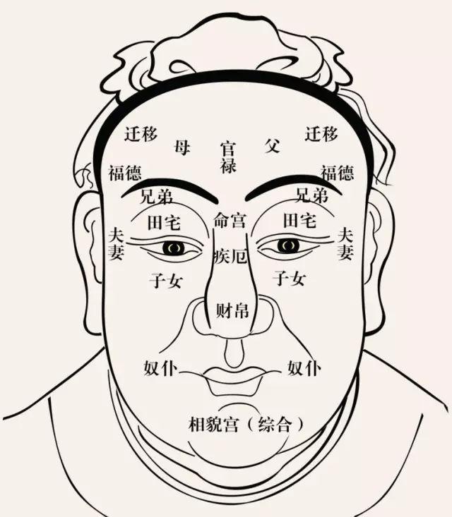 面相小知识｜论三庭的重要性