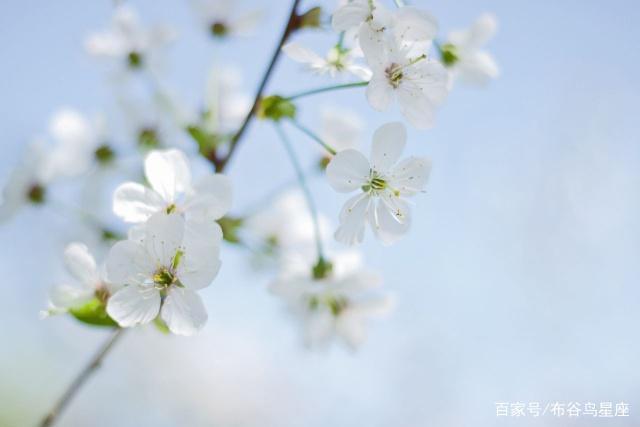 6月上旬，不忘初心，难舍旧情，3星座终得良人，此生不弃