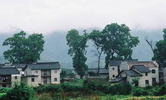 俗语：“男怕属鸡，女怕属羊”，是什么意思？有什么讲究吗？