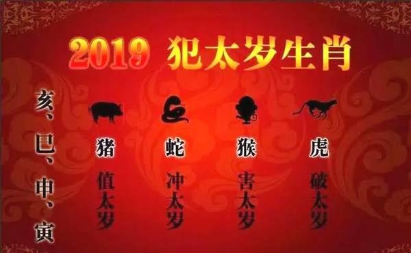 属蛇今年冲太岁是什么意思？精解属蛇2019年运势及运程