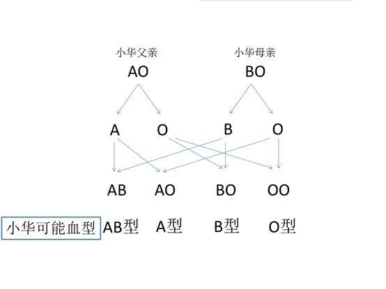 家属质疑医院检验错误，儿子的血型与父母不符？血型知识你需了解