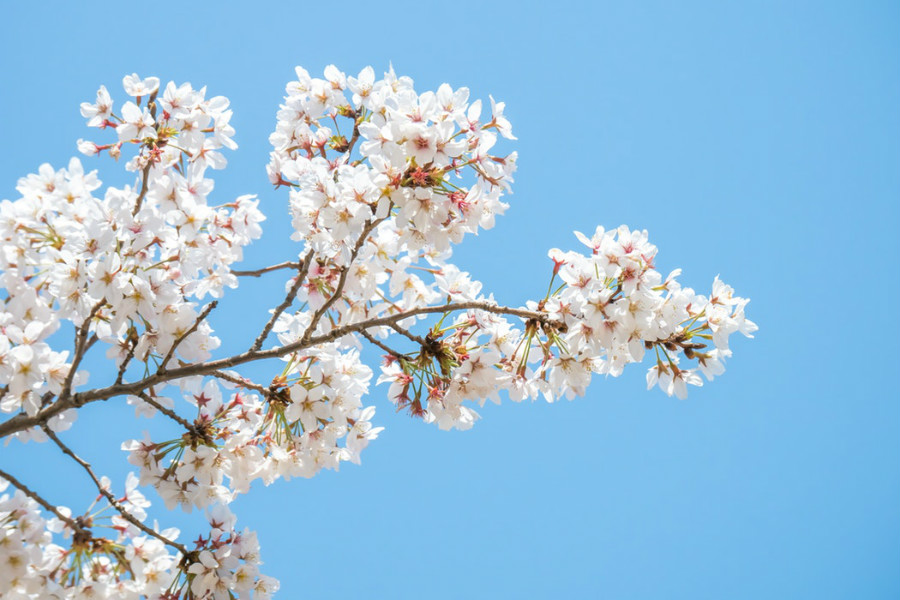 原创            12星座5月27日运势，双子座苦闷，射手座遇贵人，双鱼座被暗恋