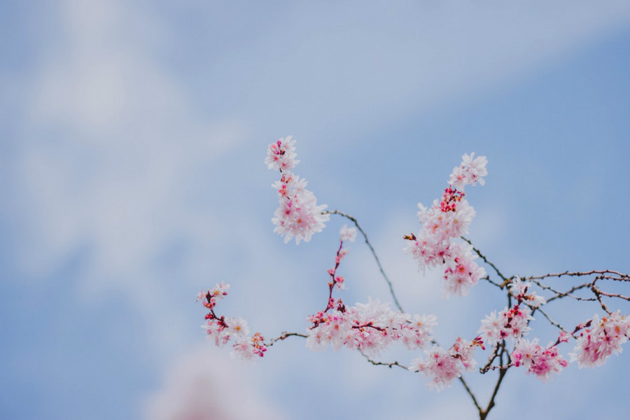 原创            12星座5月27日运势，双子座苦闷，射手座遇贵人，双鱼座被暗恋