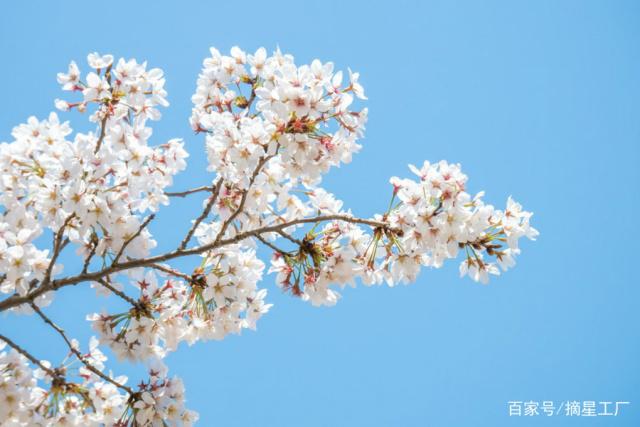 12星座5月27日运势，双子座苦闷，射手座遇贵人，双鱼座被暗恋