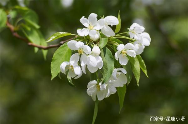 5月过后财帛宫赐福，天喜星相助，财运爆棚，赚得家财殷富的生肖