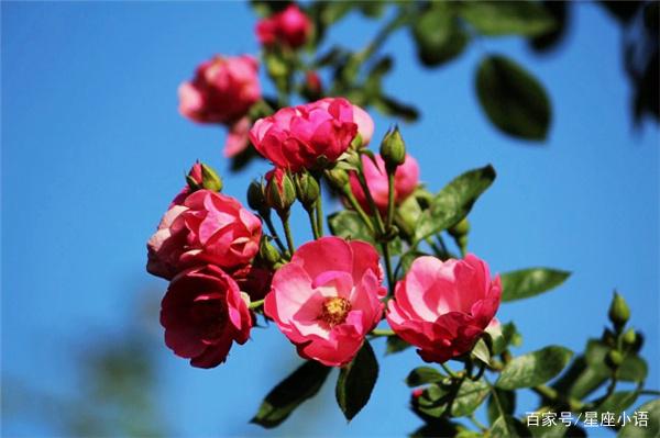 5月过后财帛宫赐福，天喜星相助，财运爆棚，赚得家财殷富的生肖