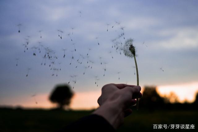 白羊座：愿你人间走一趟，圆满了自己的心